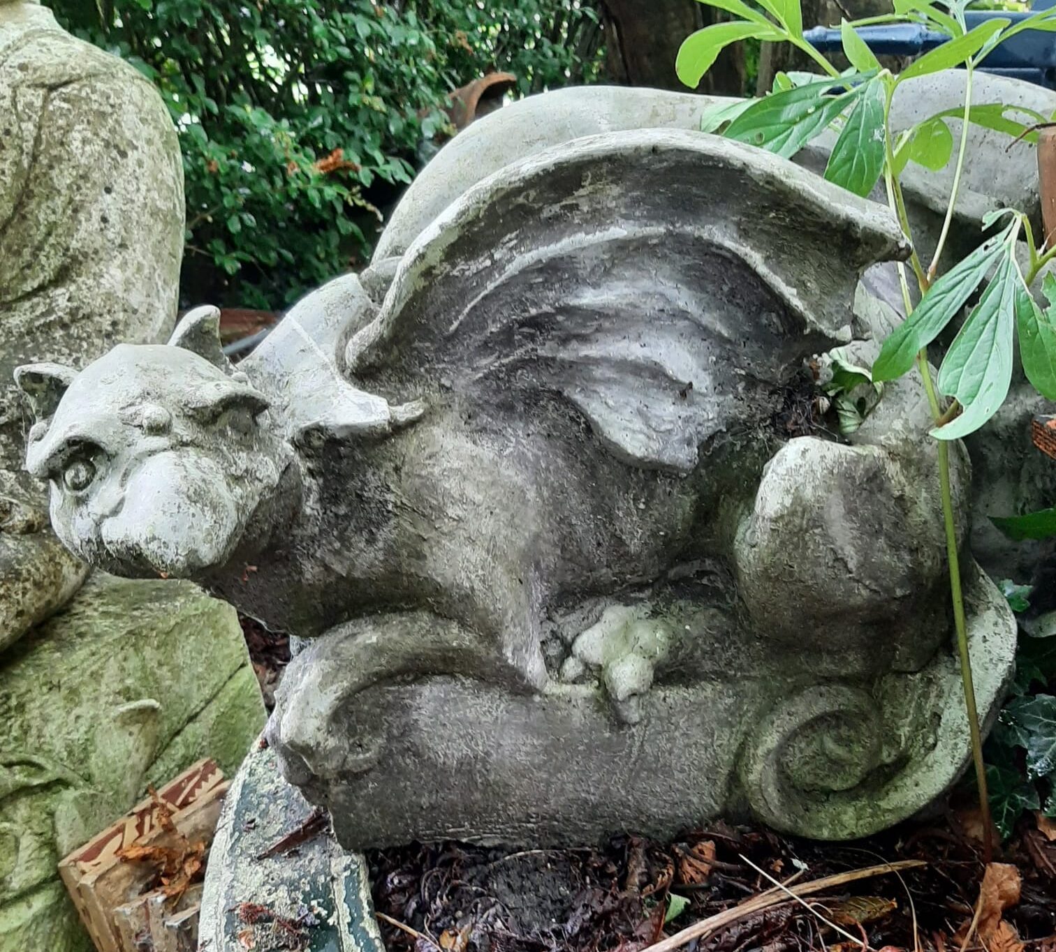 Griffioen liggend - Afbeelding 2